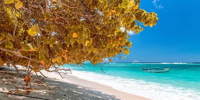 A Case for the Maldives: Why, When and Where to Go